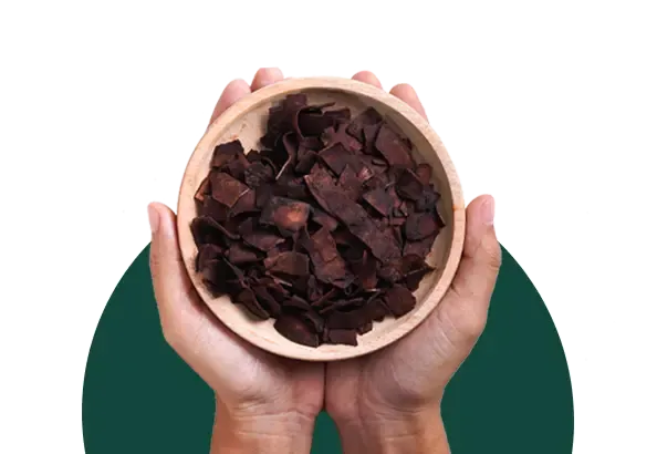 Hands holding a wooden bowl of Merubali chocolate coconut chips