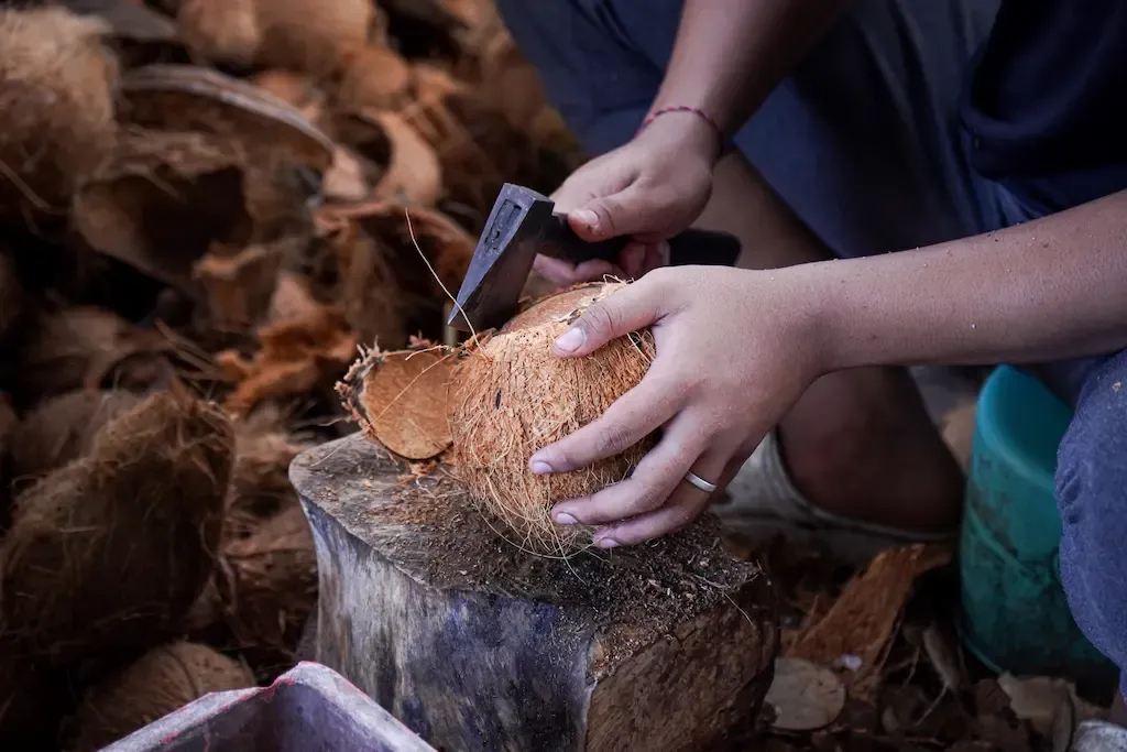 Hands splitting a coconut husk with a cleaver at the Merubali facility
